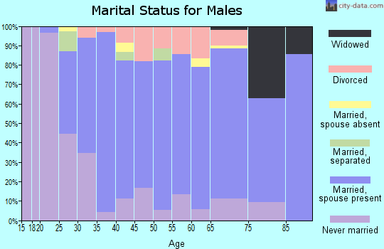 Zip code 54986 marital status for males