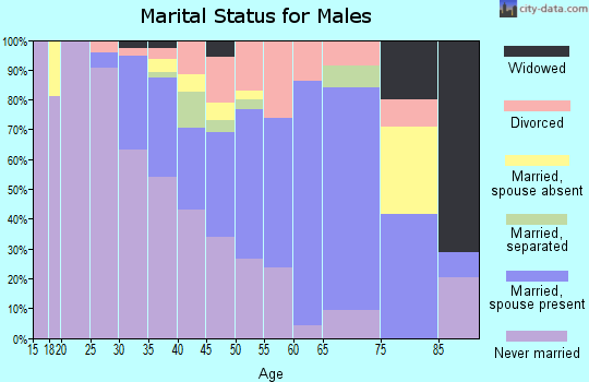 Zip code 55003 marital status for males