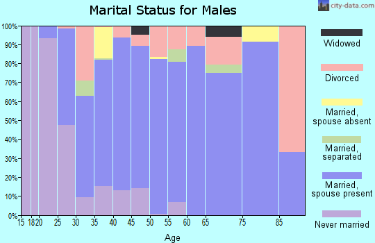 Zip code 55005 marital status for males
