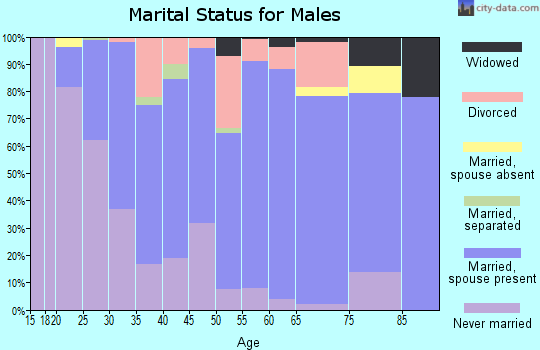 Zip code 55006 marital status for males