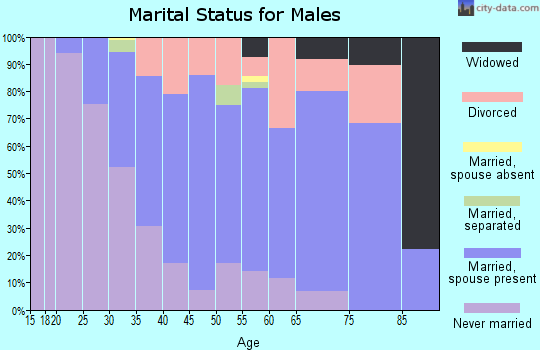 Zip code 55007 marital status for males