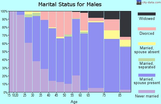 Zip code 55008 marital status for males