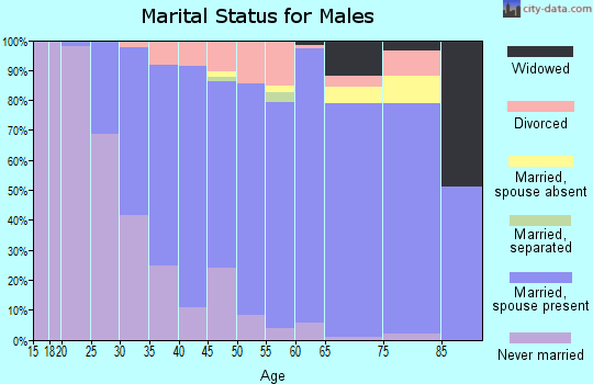 Zip code 55009 marital status for males
