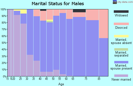Zip code 55011 marital status for males