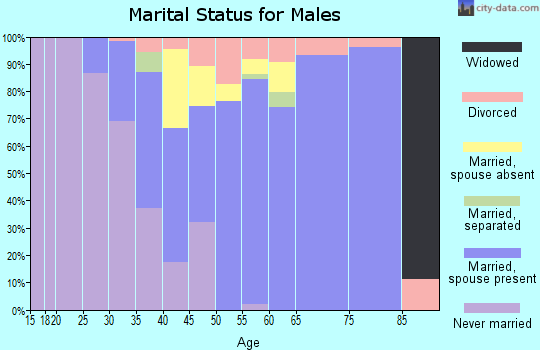 Zip code 55012 marital status for males