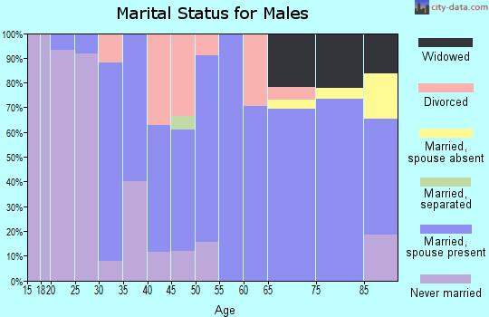 Zip code 55013 marital status for males