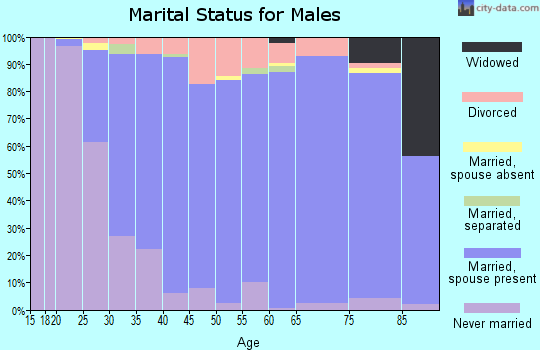 Zip code 55016 marital status for males