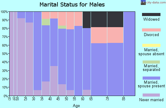 Zip code 55019 marital status for males