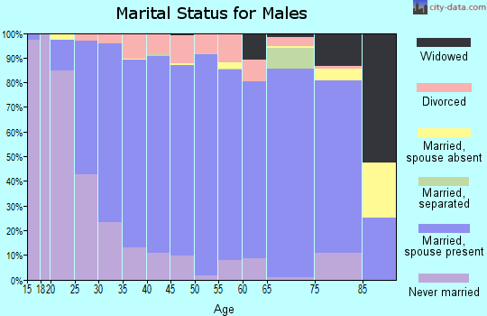 Zip code 55024 marital status for males