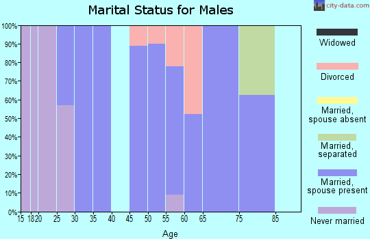 Zip code 55026 marital status for males