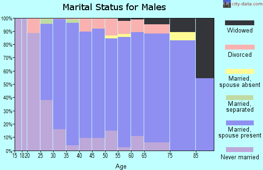 Zip code 55027 marital status for males