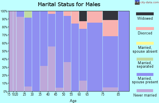 Zip code 55030 marital status for males