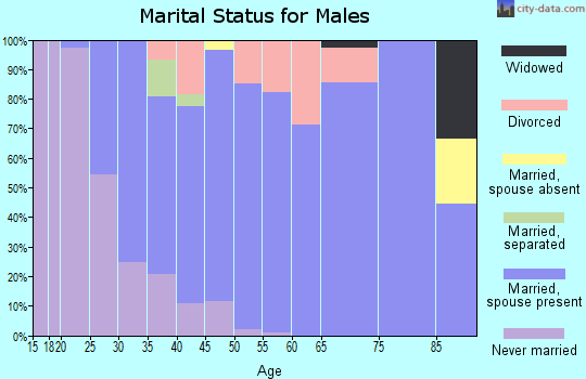 Zip code 55031 marital status for males