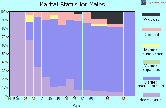 Zip code 55032 marital status for males