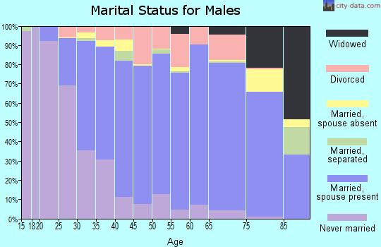 Zip code 55033 marital status for males