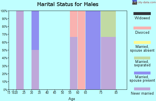 Zip code 55036 marital status for males