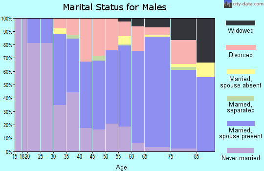 Zip code 55037 marital status for males