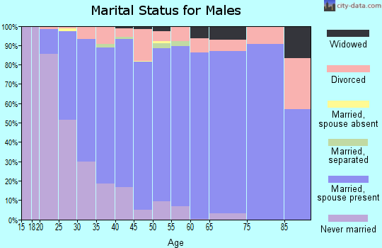 Zip code 55038 marital status for males