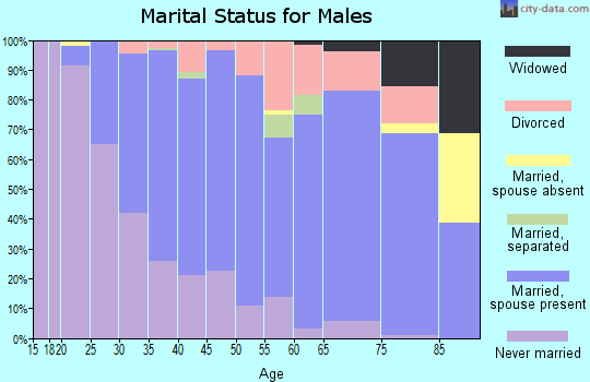 Zip code 55040 marital status for males