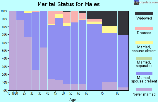 Zip code 55041 marital status for males