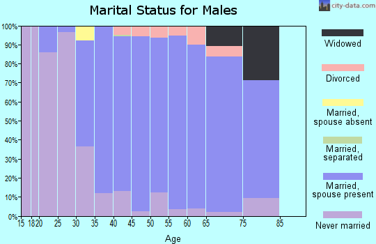 Zip code 55042 marital status for males