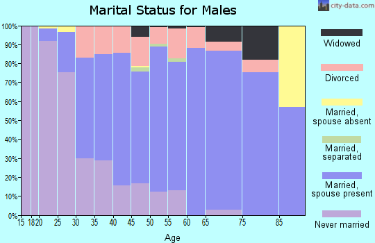 Zip code 55043 marital status for males