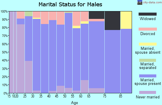 Zip code 55046 marital status for males