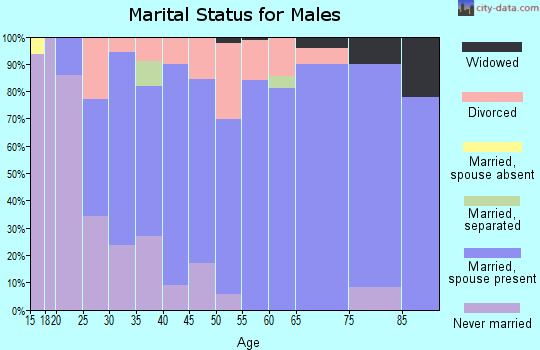 Zip code 55049 marital status for males