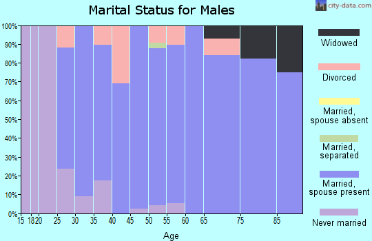 Zip code 55053 marital status for males