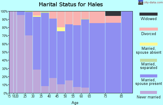 Zip code 55056 marital status for males