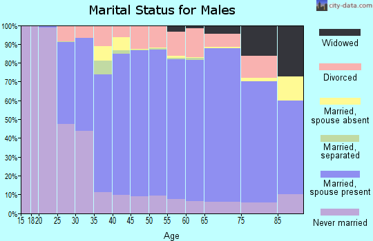 Zip code 55057 marital status for males