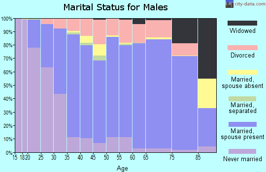 Zip code 55060 marital status for males