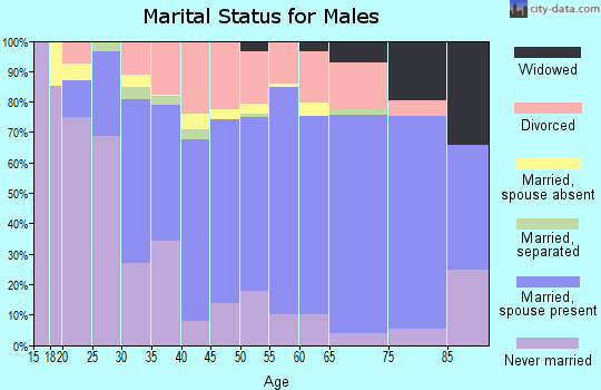 Zip code 55063 marital status for males