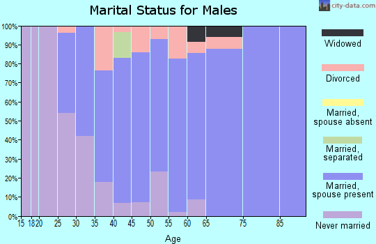 Zip code 55065 marital status for males