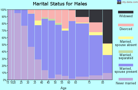 Zip code 55066 marital status for males