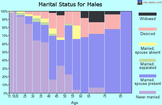 Zip code 55069 marital status for males