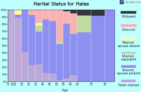 Zip code 55070 marital status for males