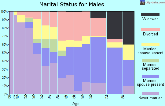Zip code 55072 marital status for males