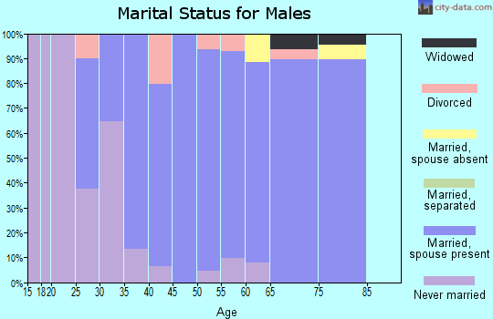 Zip code 55073 marital status for males