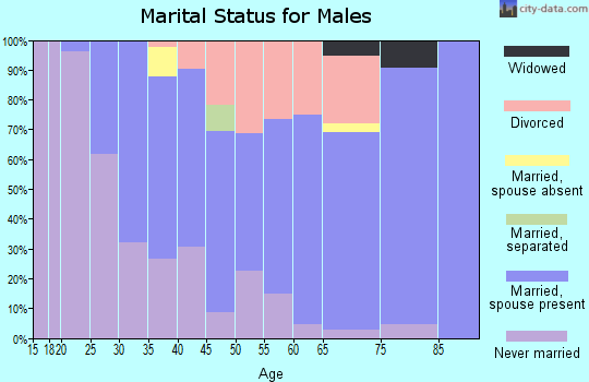 Zip code 55074 marital status for males