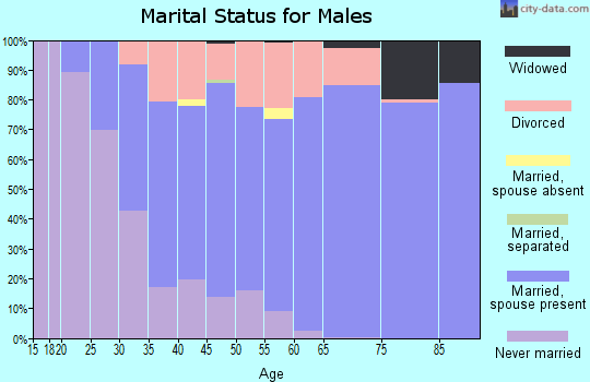 Zip code 55076 marital status for males