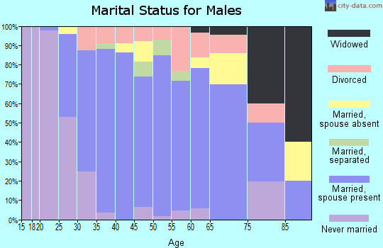 Zip code 55077 marital status for males