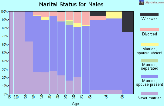 Zip code 55079 marital status for males
