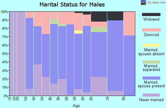 Zip code 55080 marital status for males