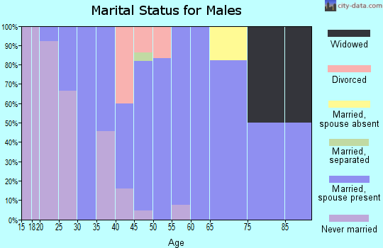 Zip code 55085 marital status for males