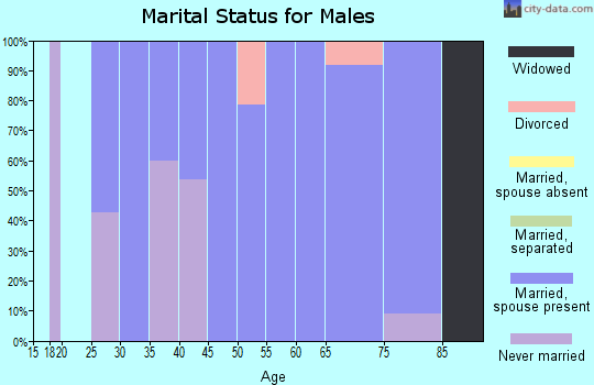 Zip code 55087 marital status for males