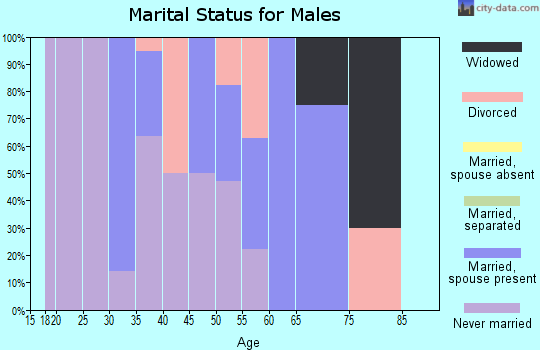 Zip code 55090 marital status for males