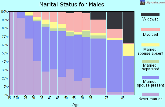 Zip code 55106 marital status for males