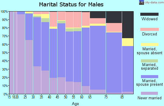 Zip code 55113 marital status for males