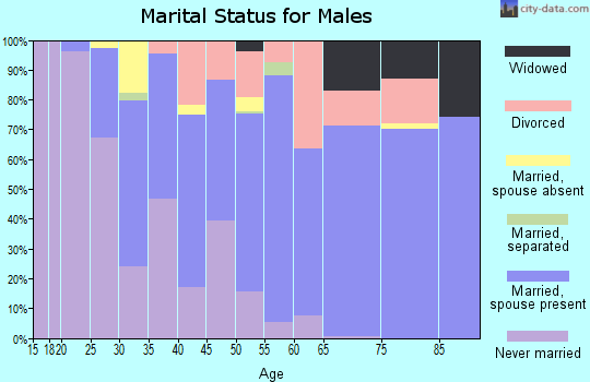 Zip code 55121 marital status for males